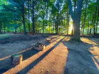 Renovated cabin / beach access / 1+ acre of woods
