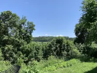 Moderne Wohnung im Grünen mit Privatem Garten Hotels in Donaueschingen
