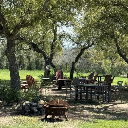 Rockin’ Pony Silver Dollar Winery Hill CountryWinery, Cidery & Bistro