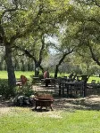 Rockin’ Pony Silver Dollar Winery Hill Country2 Queen Beds! Winery & Bistro