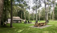 Finger Lakes: Lamoka Hideaway