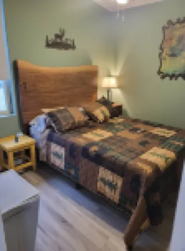2 bd 2bth, Thomas, WV, near Canaan and Davis, WV skiing, trails, State Parks