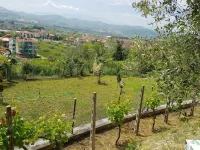 A place to pamper your mind and soul  호텔