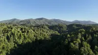 Hot Tub, Starry Nights, Romantic, Campfire - Blue Ridge Mountains - Green