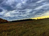 Country Charm