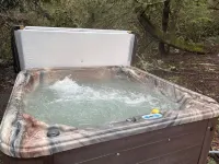 Charming 2-bedroom farmhouse style tiny home in  Rainier with Hot tub