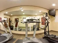 Holiday Inn Express & Suites Gainesville