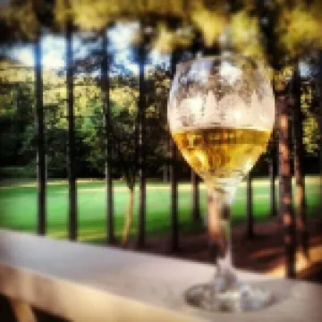 Spacious Resort Home on 10th Fairway - 6 Bedrooms, 3 Baths. GOLF, SKI, SPA