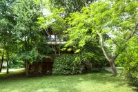 Family Staycation Paradise -Lake Austin Waterfront:Volleyball, Kayaks, Hiking Hotels near Transfiguration Greek Orthodox Church