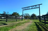 Silverspur at Round Top- Amazing restored 1800's Farmhouse on 40 acres w/a pool!