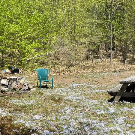 True Adirondack Retreat! Nestled in the Mountains!