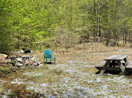 True Adirondack Retreat! Nestled in the Mountains!