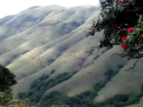 Amberina Homestay - Gudalur