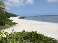 Alofa Beach Bungalows Hôtels à : Tanna