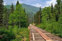 Creekside Cottage - Mountain Lovers Dream