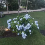 Beautiful Contemporary Home, Edgartown Morning Glory Farm