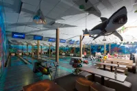 Raduga Pension - bar