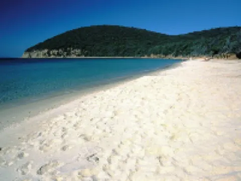 Nautilus b&b Suite Design Hotel di Follonica