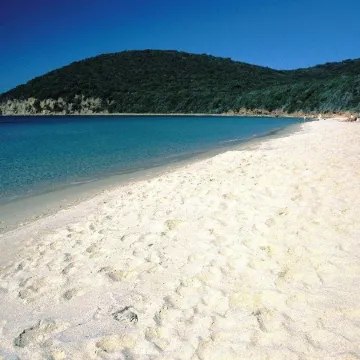 Nautilus b&b Suite Design