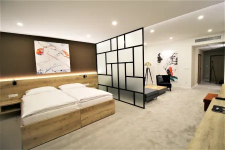 Hotel Magnus Trenčín Отели в г. Тренчьянске Теплице