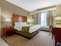 Comfort Inn Plover-Stevens Point Hotels in Plover
