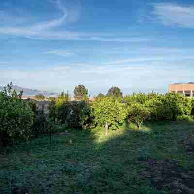 Virdamuri - Etna Country Resort Hotel Exterior