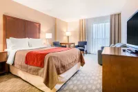 コンフォート イン フォールスビュー