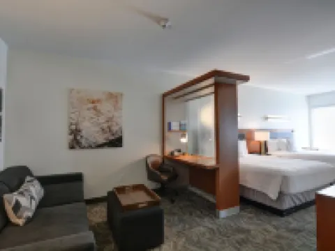 スプリングヒル スイーツ バイ マリオット デンバー アンシュッツ メディカル キャンパス オーロラのホテル