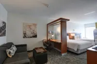 SpringHill Suites Denver at Anschutz Medical Campus Hotels near The Aurora Fox Arts Center