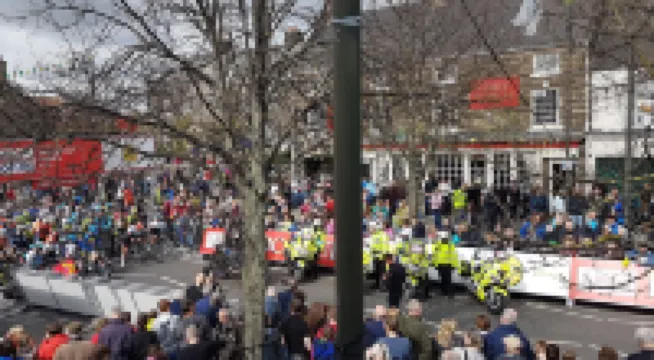 薩爾特本假日風信子小屋