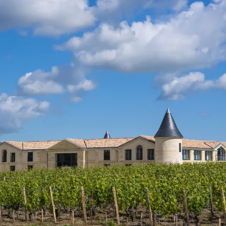 Château Tour Saint-Fort Chambre d'hôtes