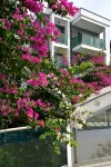 Royal Palm Residence Hôtels à : Gumbet