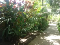 Hotel Playa Westfalia Hotels in Limon