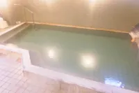 Daikokuya Ryokan - suối nước nóng