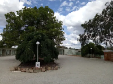 Holbrook Skye Motel