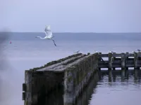 Vacation home directly on the lake, outdoor whirlpool and exclusive 20sqm wellness sauna 烏特格翰酒店