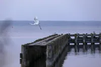 Vacation home directly on the lake, outdoor whirlpool and exclusive 20sqm wellness sauna Hotel a Untergohren