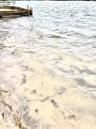 Cozy lakeside cottage near Downtown