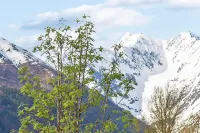 Ski-in/ski-out condo with amazing mountain views - near shopping & dining Hôtels à : Girdwood