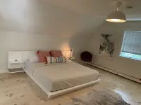 Modern Renovated 3 Bedroom in the Springs - Heated saltwater pool Hotels in Springs