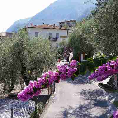 Hotel Augusta Garnì Hotel Exterior