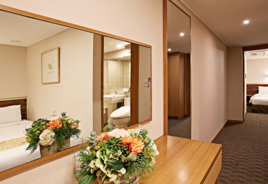 Hotel Skypark Myeongdong 1 Over view