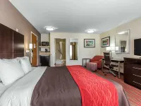 Comfort Inn Los Angeles near Hollywood Hotel in zona Stadio Dodger