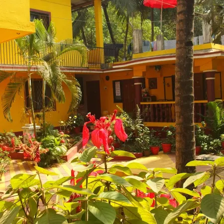Yellow House