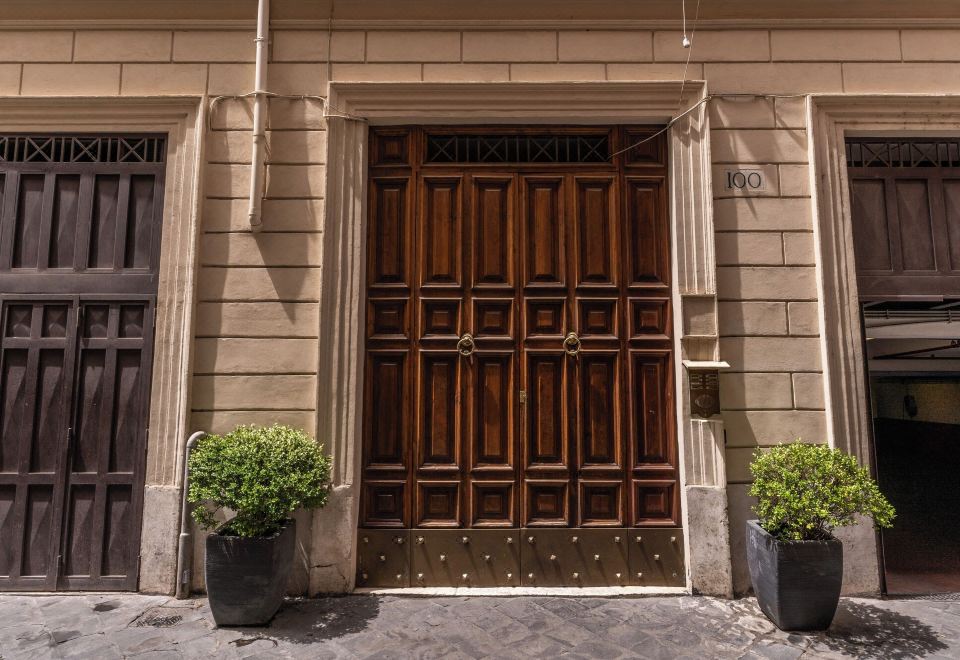 테리에 벨시아나 썸네일