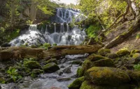 Perfect for Nature Lovers Các khách sạn ở Visingso