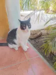 Aloha Lina