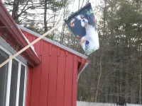 Cavalier Cottage B&B