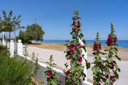 Sea & Sun Отели рядом с достопримечательностью «Акрополь Линдоса»