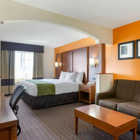 Comfort Suites Stevensville - St Joseph